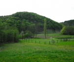 dscf5099