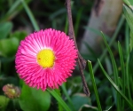 dscf5183