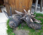 dscf5196